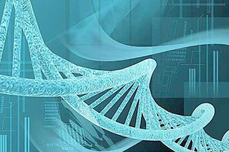 昆明热门试管医院推荐 附昆明三代试管婴儿费用参考(图1)