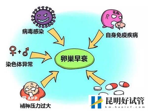 amh值有没有可能几个月内急速下降？(图1)