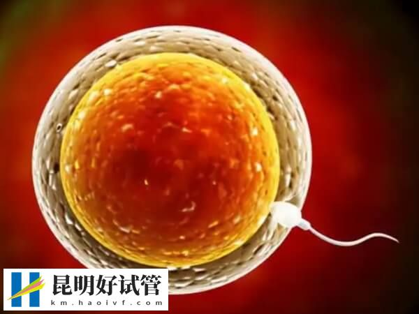 取卵21个雌二醇值才500多正常吗？(图1)