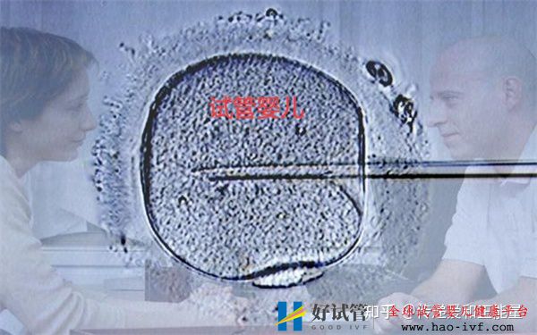 过来人说说试管婴儿需要承受多少痛苦(图1) 过来人说说试管婴儿需要承受多少痛苦(图1)