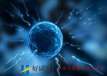 做泰国试管婴儿的条件以及需要准备什么(图2) 做泰国试管婴儿的条件以及需要准备什么(图2)