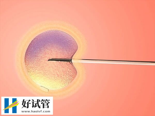 大连二代试管费用多少(图1) 大连二代试管胚胎移植费约5-7千元