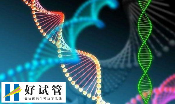 人工助孕生男孩还是女孩是由什么决定的(图2) 禁止非医学需要的胎儿男女选择