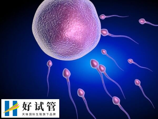 试管移植十六天腰发麻的疼正不正常(图2) 精神紧张和压力大也可能导致腰部疼痛